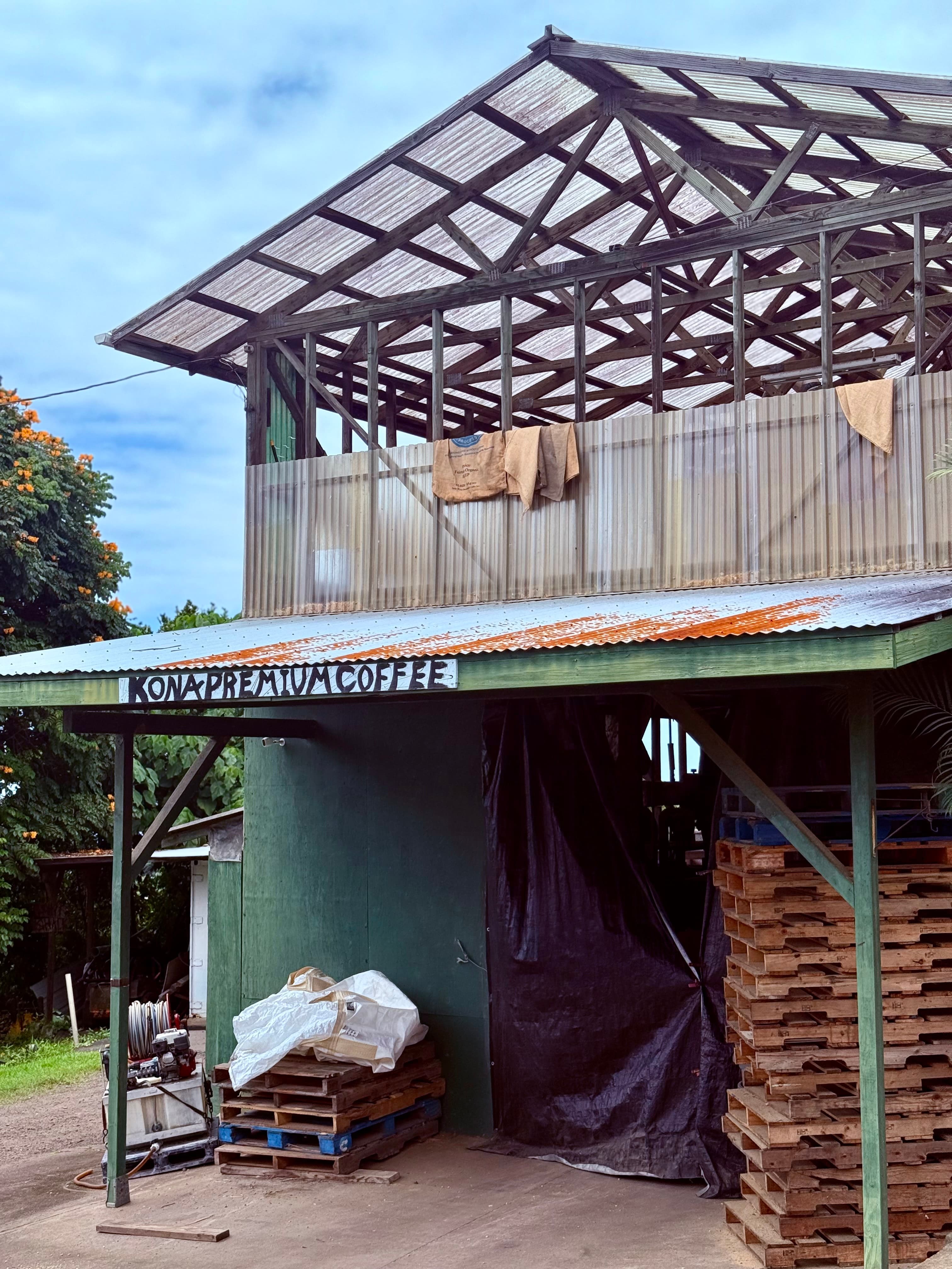 Sustainable Kona coffee farm in Hawaii